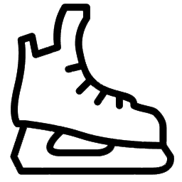 Ice skates